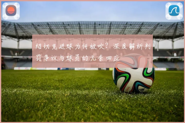 绍切克进球为何被吹？深度解析判罚争议与球员的无奈回应